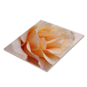 Carreaux en céramique