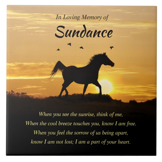 Carreaux en céramique (Devant)