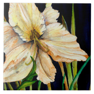 Carreaux en céramique blanche