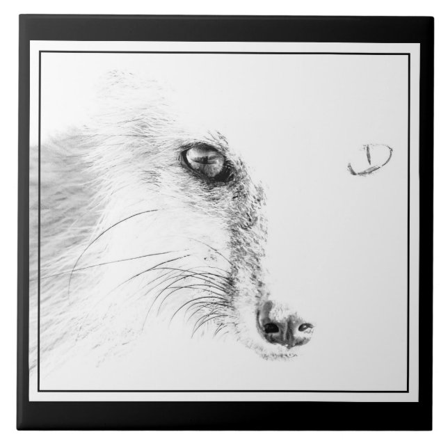 Carreaux en céramique Fox Face (Devant)