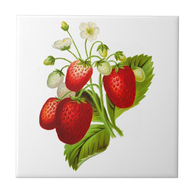 Carreaux en céramique fraise (Devant)