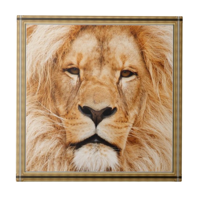 Carreaux en céramique Lion (Devant)