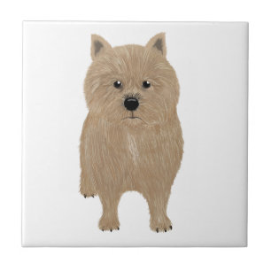 Carreaux en céramique Norwich Terrier