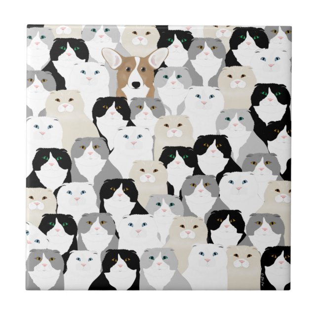 Carreaux en céramique pour chats et chiens (Devant)