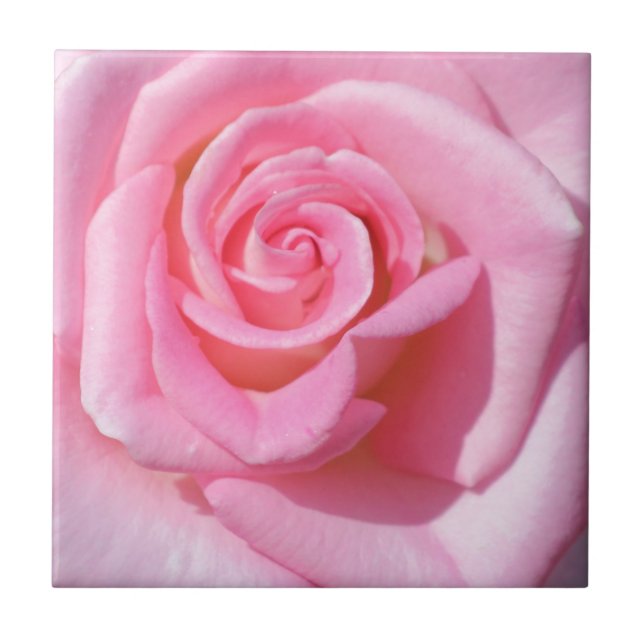 Carreaux en céramique rose (Devant)