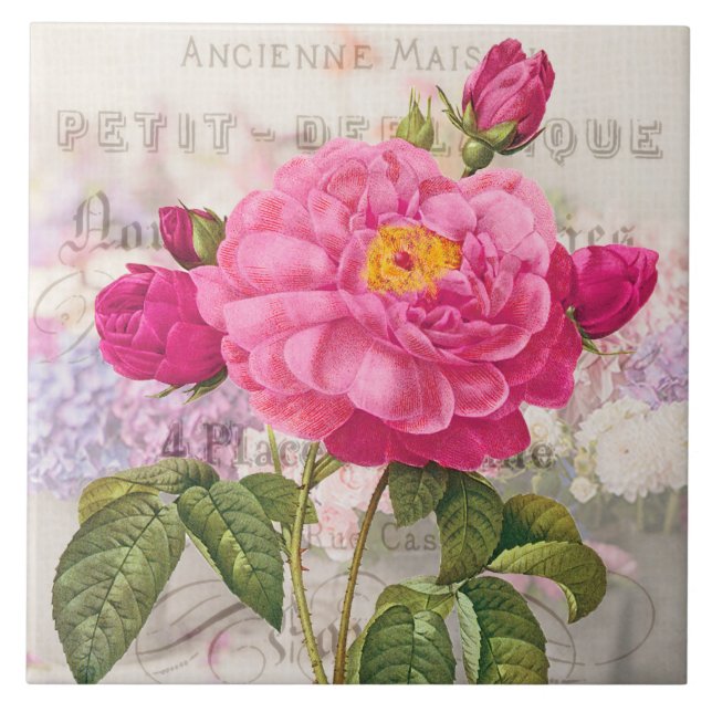 Carreaux en céramique rose Redoute (Devant)