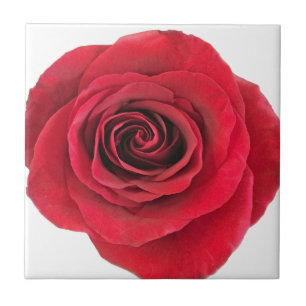 Carreaux en céramique rose rouge