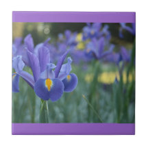 Carreaux en céramique violet Iris