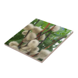 Carreaux (PussyWillowsInLeaves) RFPMDesigns ©️ 201