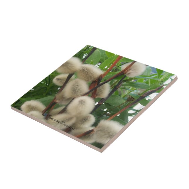 Carreaux (PussyWillowsInLeaves) RFPMDesigns ©️ 201 (Côté)