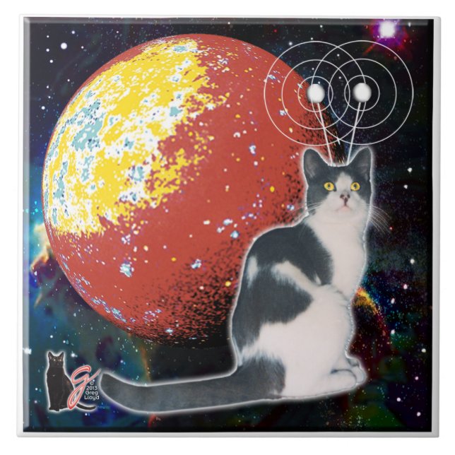 Carreaux Robo-Cat Hobo (Devant)