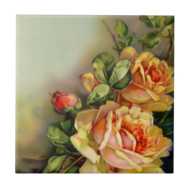 Carreaux Roses vintages (Devant)