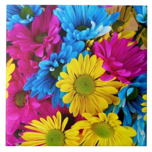 carreaux rouge, bleu et jaune (Devant)