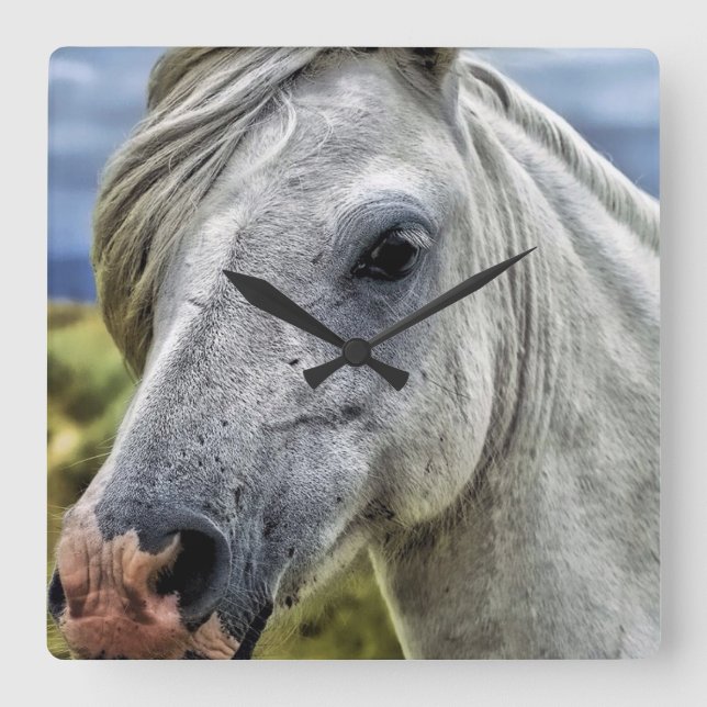 Carrée Belle horloge à cheval gris (Recto)