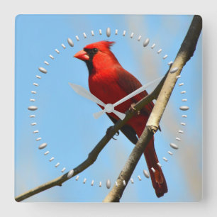 Carrée Horloge cardinale par Julie Everhart