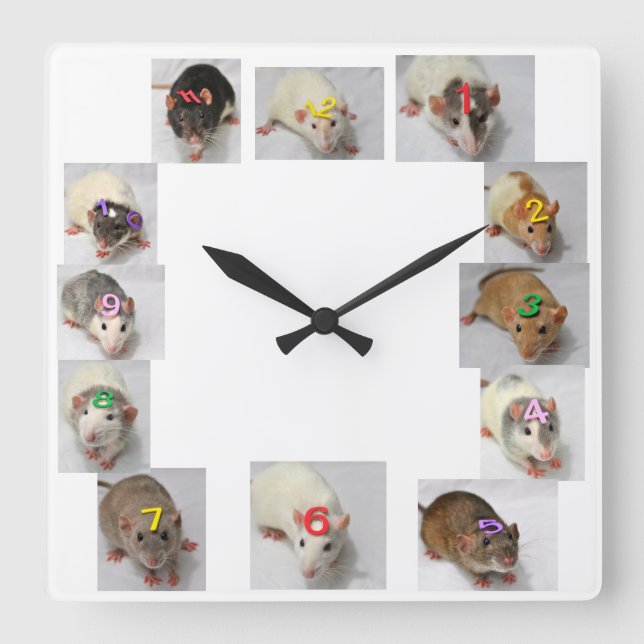 Carrée Horloge de fantaisie de rat (Recto)