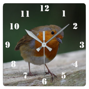 Carrée Horloge de Robin