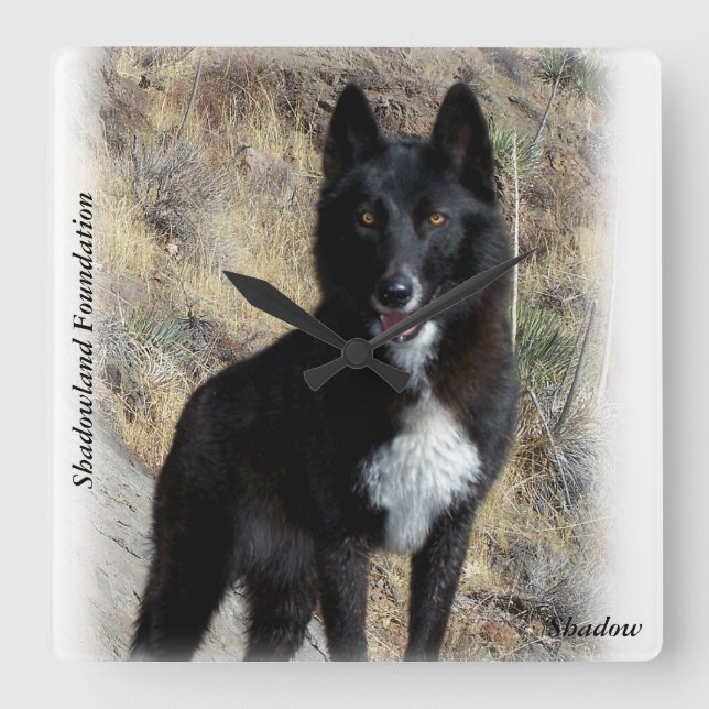 Carrée Horloge du loup noir (Recto)