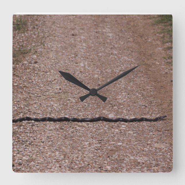 Carrée Horloge du serpent de rat (Recto)