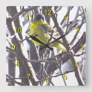Carrée Horloge - Oiseau jaune dans les branches