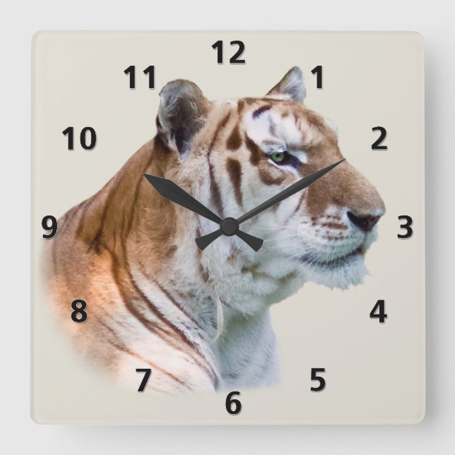 Carrée Horloge personnalisable du tigre (Recto)