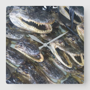 Carrée Horloge principale d'alligator