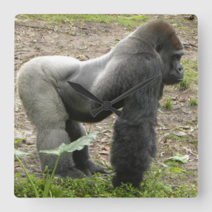 Carrée Horloge puissante de gorille