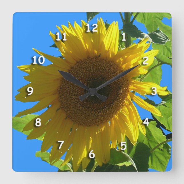 Carrée Horloge - Tournesol (Recto)