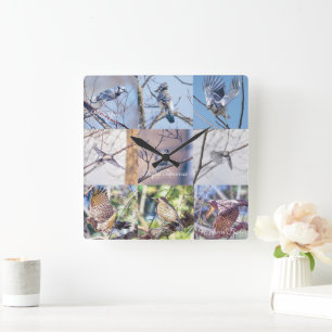 Carrée Oiseaux en mouvement horloge