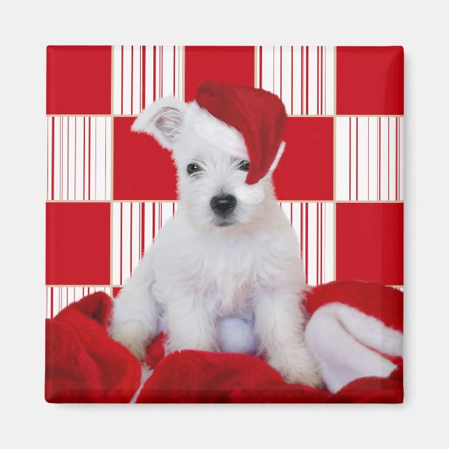 Carrés de la Coupe de Westie de Noël - Magnet Carr (Devant)