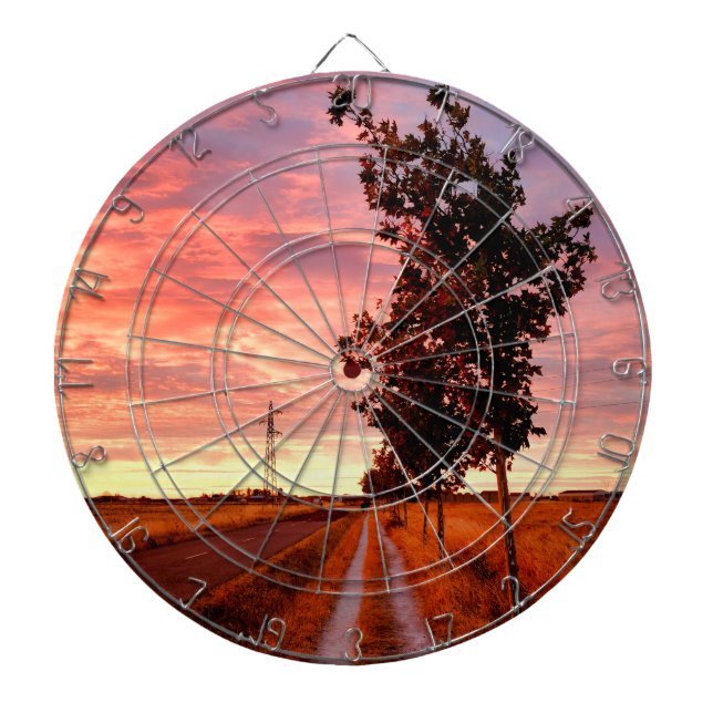Carretera Hacia Reliegos Dartboard (Front)
