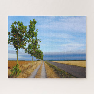 Carretera Hacia Reliegos Jigsaw Puzzle