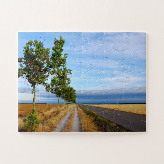 Carretera Hacia Reliegos Jigsaw Puzzle (Horizontal)