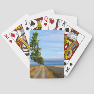 Carretera Hacia Reliegos Playing Cards
