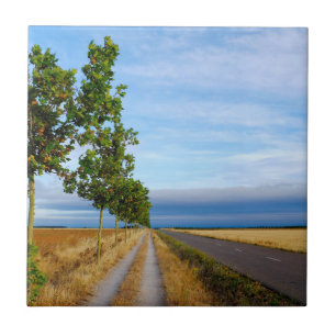 Carretera Hacia Reliegos Tile