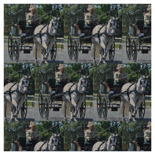 carriage driving fabric (Swatch)