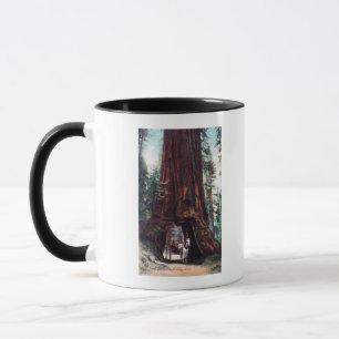 Carriage Travelling Under a Giant Redwood Mug