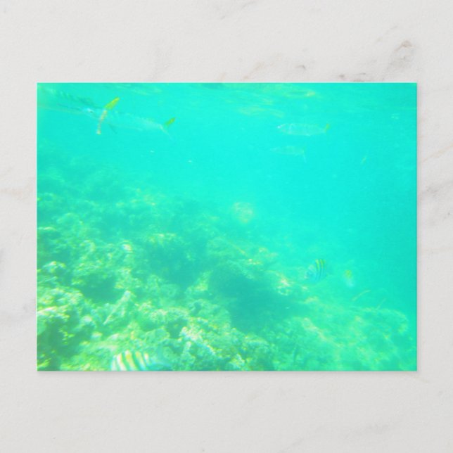 CARRIBEAN SEA POSTCARD 12 (Front)