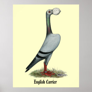 Carrier Pigeon 2012 Poster