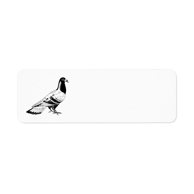 Carrier Pigeon Illustration (Front)