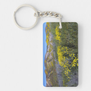 Carrizo Plain National Monument, California Keychain