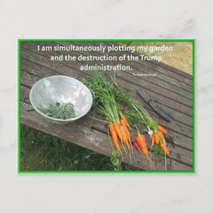 Carrot Gardening & Plotting & Resisting Trump Postcard