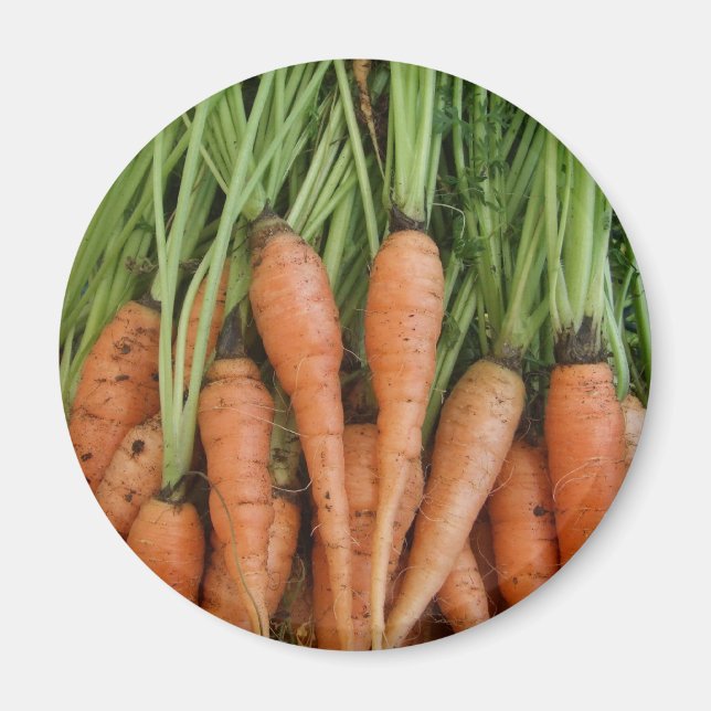Carrot Magnet (Front)