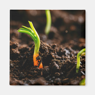 Carrot Sprout – Garden Growth Close-Up Magnet