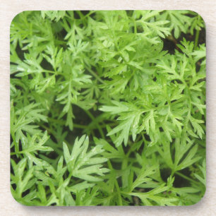 Carrot Tops Cork Coaster