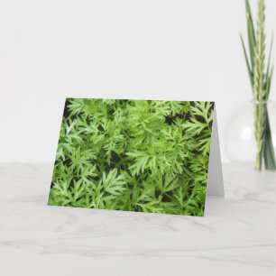 Carrot Tops Greeting Card