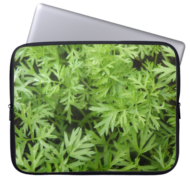 Carrot Tops Laptop Bag (Front)