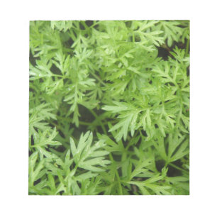 Carrot Tops Notepad