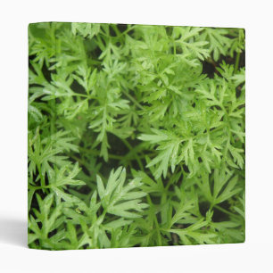 Carrot Tops Photo Album Binder
