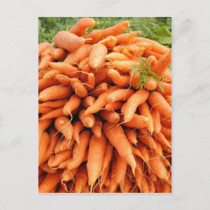 Carrots at Farmers market Postcard